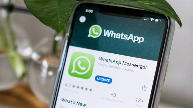 WhatsApp: da oggi è più facile importare i pacchetti di adesivi di terze parti