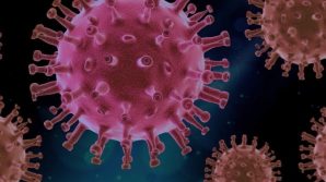 Ok agli anticorpi monoclonali. Ora il professor Silvestri chiede la testa del direttore Aifa