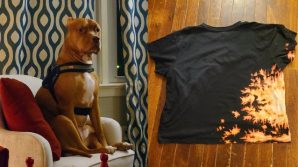 Pitbull rovescia una bottiglia di candeggina sulla maglietta: il risultato è sorprendente
