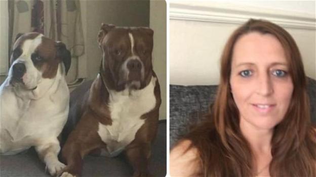 Regno Unito, litiga con la figlia incinta: muore sbranata dai cani domestici