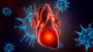 Il Covid-19 arreca seri danni anche al cuore