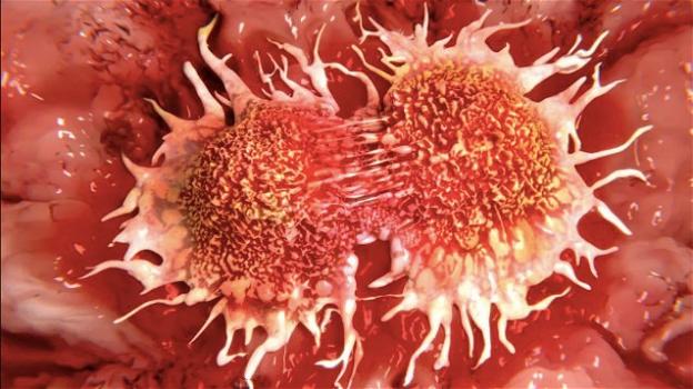 Tumori, scoperto processo che innesca la proliferazione delle cellule cancerogene