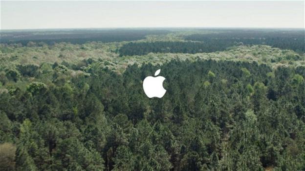 Apple stanzia 200 milioni di Restore Fund per la salvaguardia delle foreste