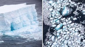 Antartide: si è sciolto l’iceberg più grande del mondo