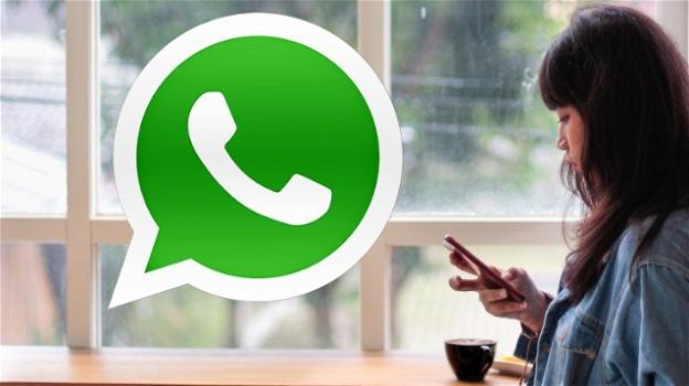 WhatsApp: bug corretti, rumors su profili Business