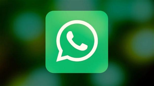 WhatsApp: rumors su autocancellazione dei messaggi e dei media