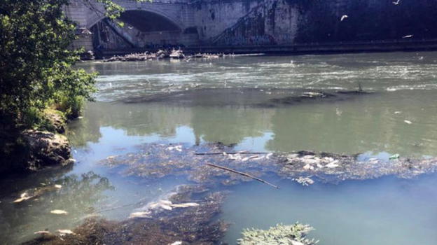13enne cade nel fiume mentre si reca a scuola. La polizia: "È scomparso"
