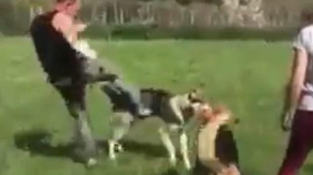 Toscana, addestratore cinofilo prende a calci un cane: le associazioni animaliste lo denunciano