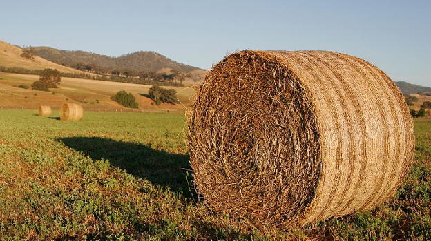 Contadino travolto e ucciso da una balla di fieno pesante 400 chili