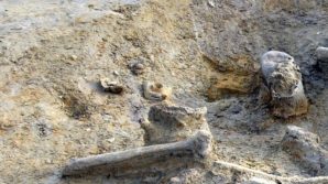 Ristrutturano un edificio e dal pavimento spuntano ossa umane