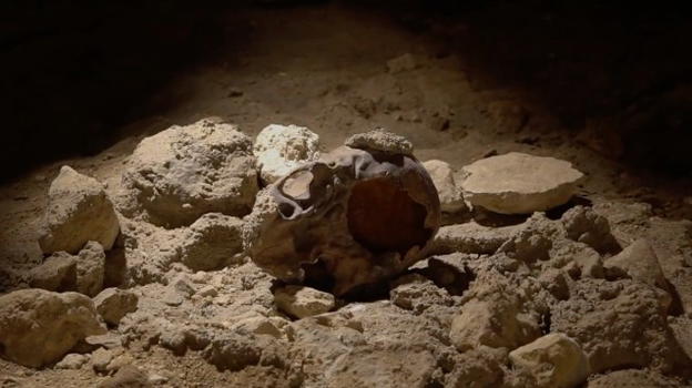 Ritrovati in una grotta al Circeo i resti degli uomini di Neanderthal