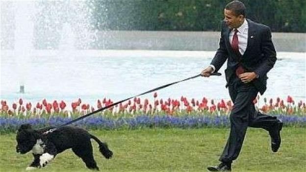 Morto il cane di Barack Obama: "Un compagno fedele, ci mancherà"
