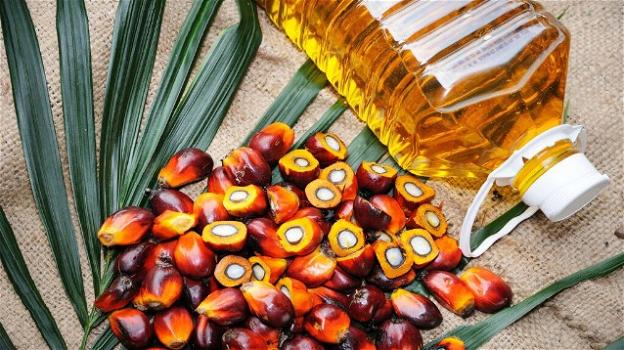 Sri Lanka, bandito l’olio di palma
