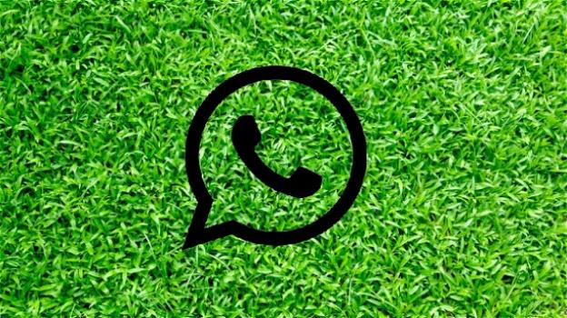 WhatsApp: nuovi rumors sull’autocancellazione dei messaggi