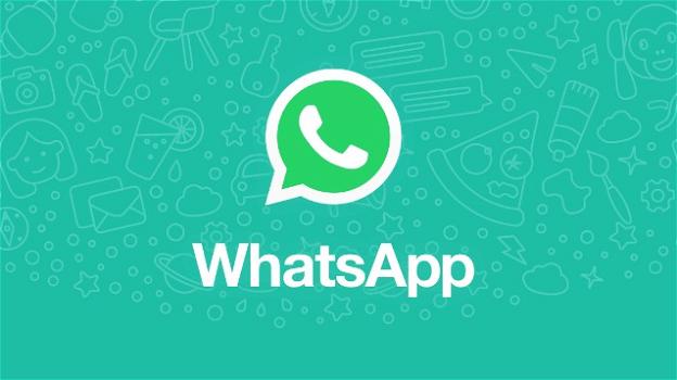 WhatsApp: nuovi adesivi e splash screen, rumors su backup online e restyling