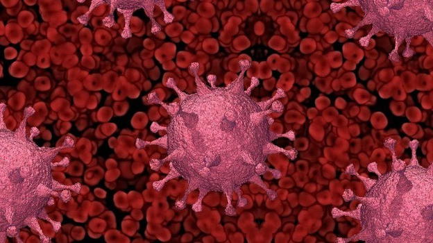Il Covid-19 non è una malattia respiratoria ma vascolare