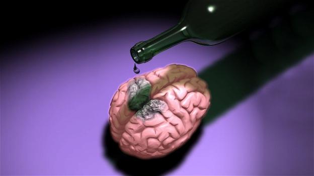 Anche modeste quantità di alcol danneggiano il cervello