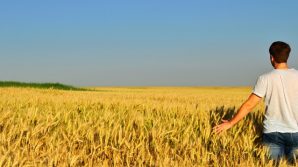 800 euro agli agricoltori e 950 ai pescatori: domande entro il 30 giugno