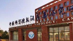Covid-19, nuovo studio sull’origine della malattia: