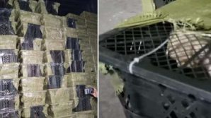 Cina: nelle Pet Mystery Box migliaia di animali morti