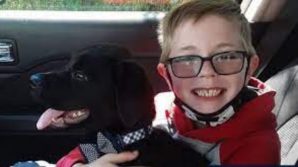 Bimbo di 8 anni vende la sua collezione di carte Pokemon per salvare il suo cane