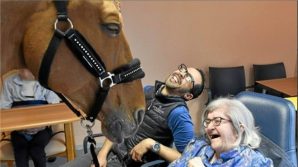 Dottor Peyo, ex star del dressage, ora luce degli occhi dei malati terminali di Calais