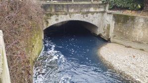 Milano, a Rho il comune vieta la balneazione in fiumi e canali: