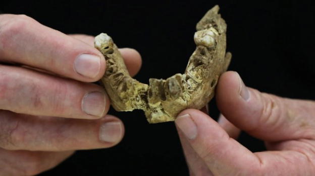 Non solo l’Homo Sapiens, trovato in Israele una nuova specie di Homo