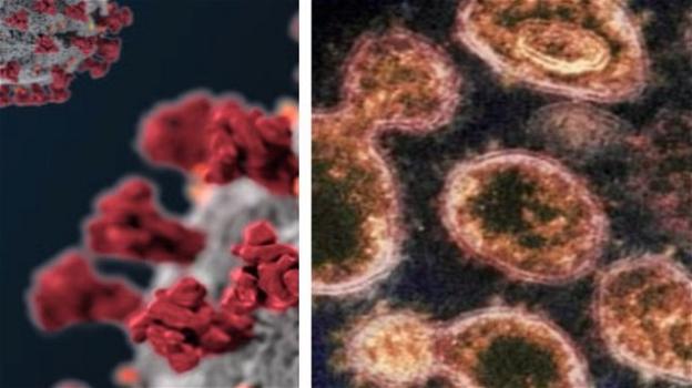 Anche 20.000 anni fa una pandemia da coronavirus colpì il continente asiatico