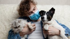Covid 19, scoperto il ruolo di cani e gatti nel contagio