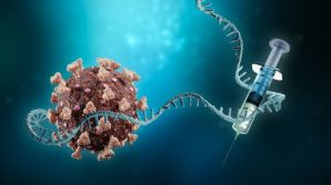 Con i vaccini a mRna l’immunità al Covid potrebbe durare diversi anni