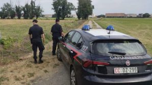 Milano, due donne perdono la vita in un campo di mais: investite da una mietitrebbia