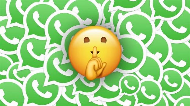 WhatsApp: novità su multi-device, easter-egg, mini-restyling