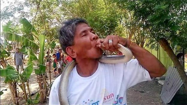 Filippine: “Sono immune ai serpenti”, muore morso da un cobra mentre cerca di baciarlo
