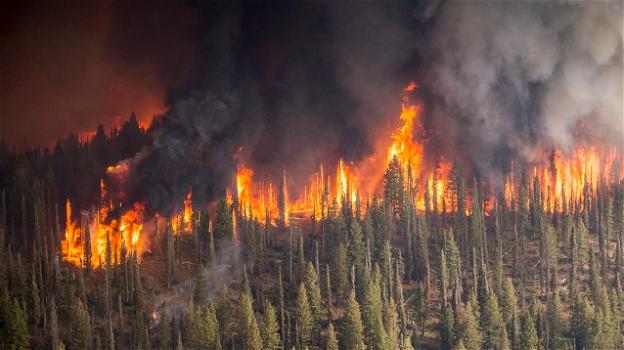 In tutto il mondo incendi devastanti provocano seri danni
