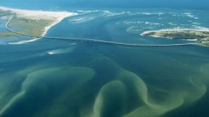 La corrente del Golfo sta collassando a causa dei cambiamenti climatici
