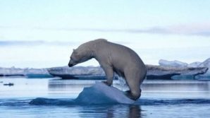 I cambiamenti climatici causano il rimpicciolimento delle specie animali