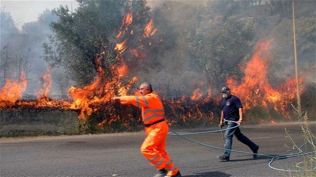 Le fiamme minacciano il suo podere: 77enne muore per salvare i suoi animali