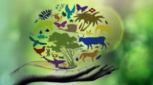 La crisi della biodiversità italiana, oltre il 50% delle specie in situazione critica