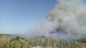 Brindisi, incendio sulla litoranea nord: a fuoco un vasto canneto