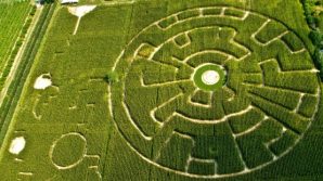 Labirinto Effimero Dinamico: Alfonsine è sede di una particolarissima opera costruita in mezzo alle pannocchie