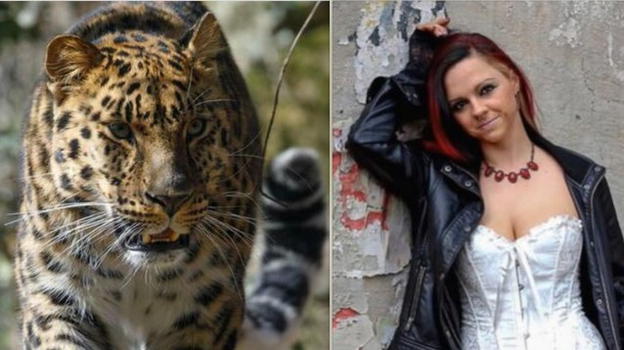 Germania, modella sbranata da un leopardo