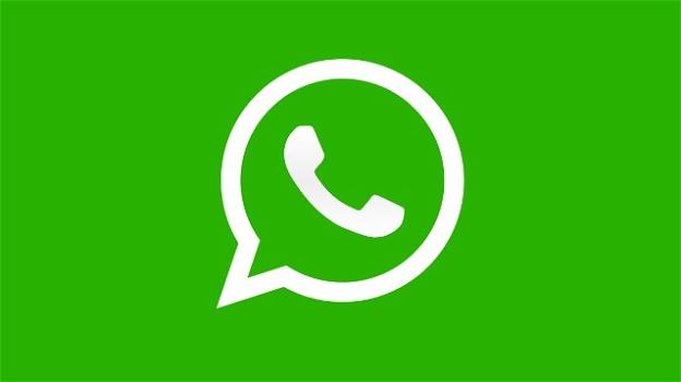 WhatsApp: l’accettazione dei nuovi termini di servizio diverrà opzionale