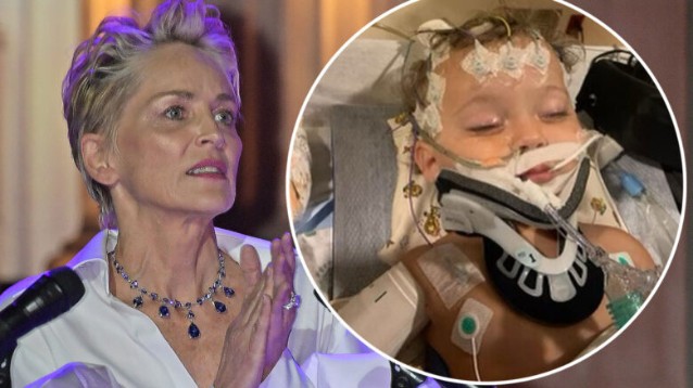Dramma Per Sharon Stone Il Nipote Di 11 Mesi Grave In Ospedale 