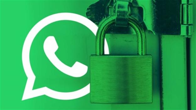 WhatsApp: in studio nuova opzione per la privacy degli utenti