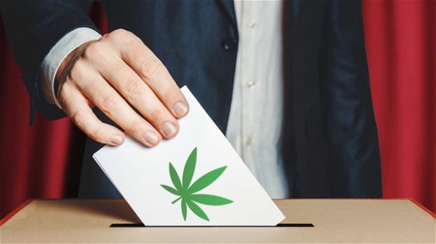 Cannabis: boom di firme nella prima giornata, sono già oltre 100mila le adesioni