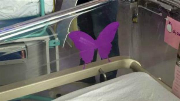 Una farfalla viola sulla culla: il toccante significato di questo gesto