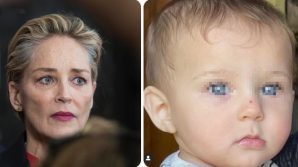 Sharon Stone sulla tragica scomparsa del nipotino: “Ha salvato la vita a 3 persone”