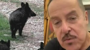 Massimo Lopez aggredito da un cinghiale sotto casa, l’affondo ai politici
