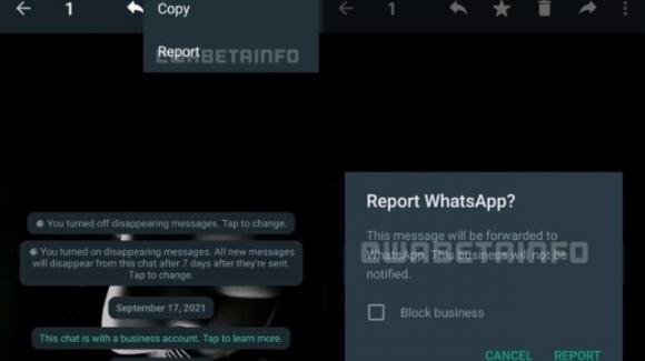 WhatsApp: in beta è possibile segnalare i singoli messaggi